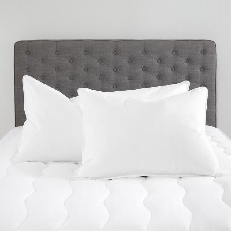 Bonner Down Blend Medium Pillow
