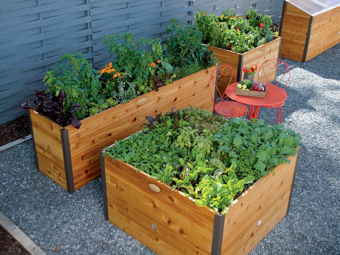 Elevated Raised Bed. 4' x 4'