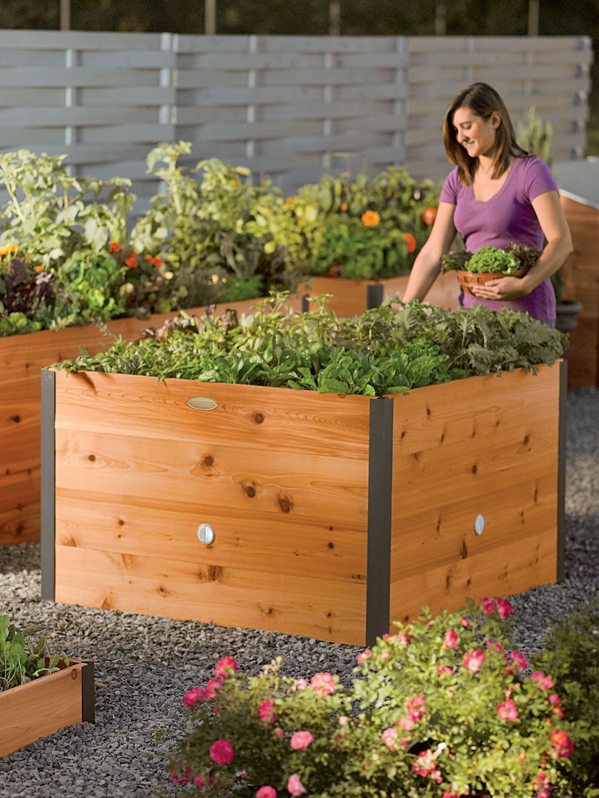 Elevated Raised Bed. 4' x 4'