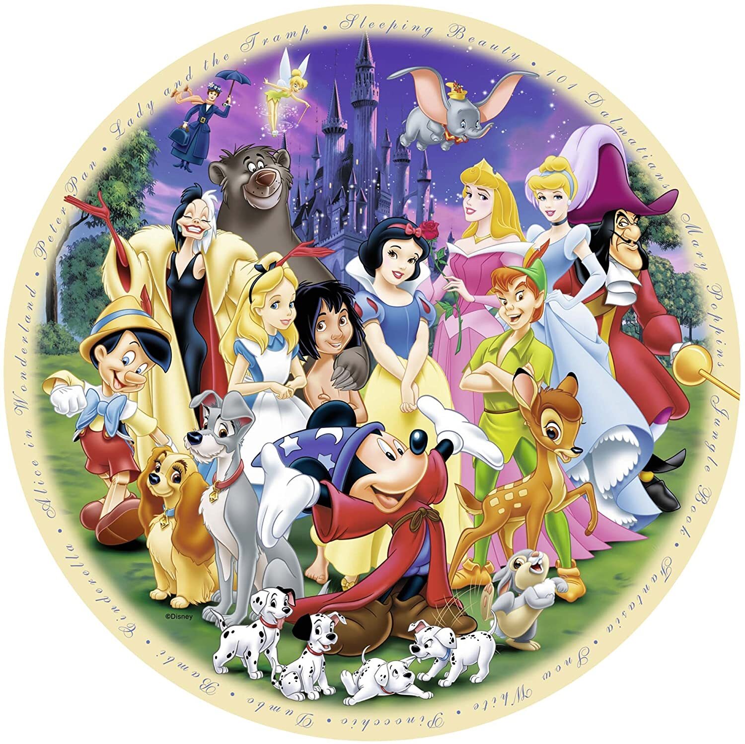 World of 1000 Piece Puzzle