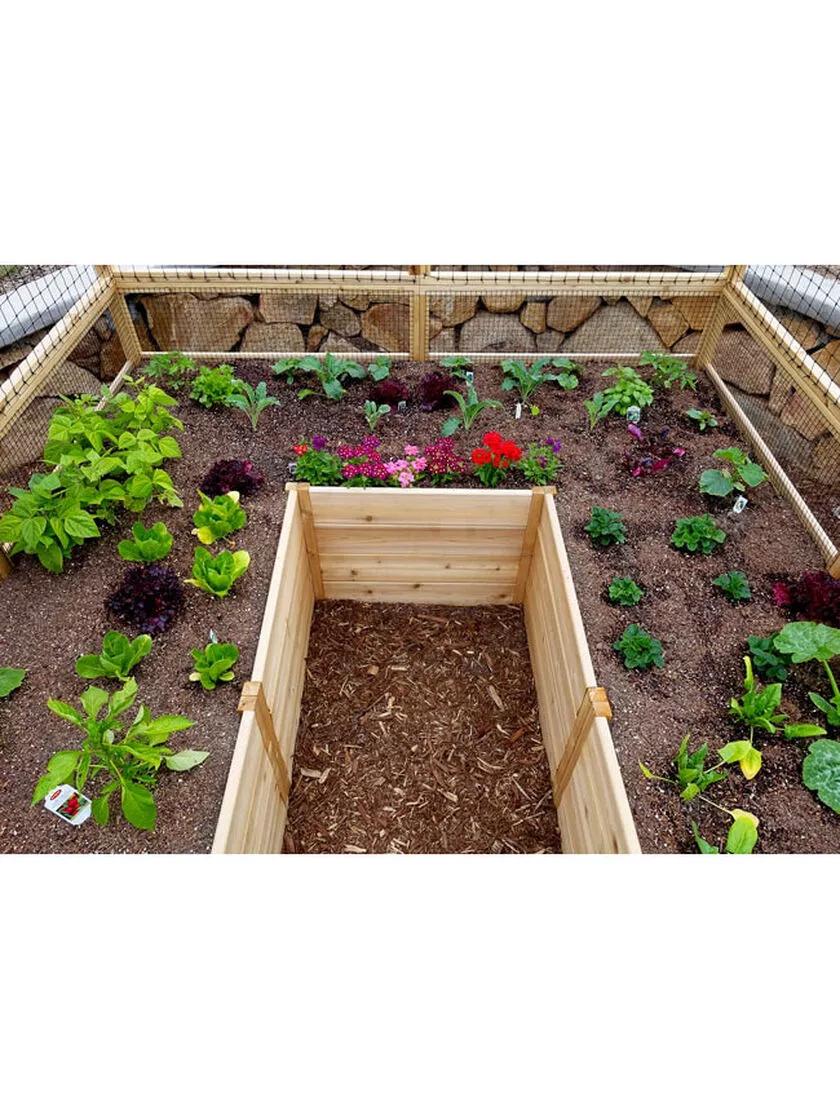 Garden in a Box with Deer Fence. 8' x 12'